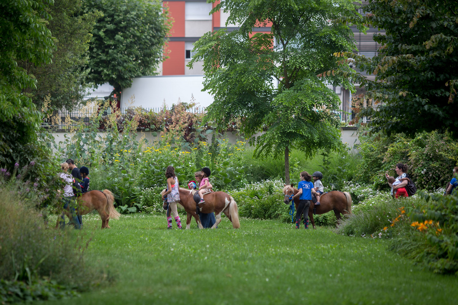Activités au parc du Coteau - ©AB 2016