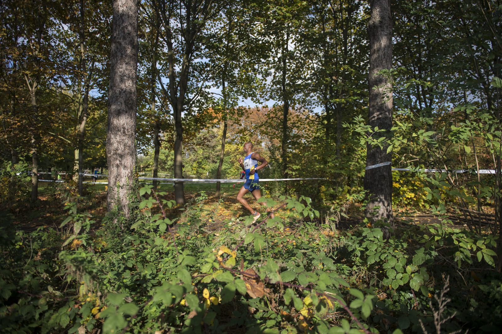 Parc des Lilas - ©SL 2016