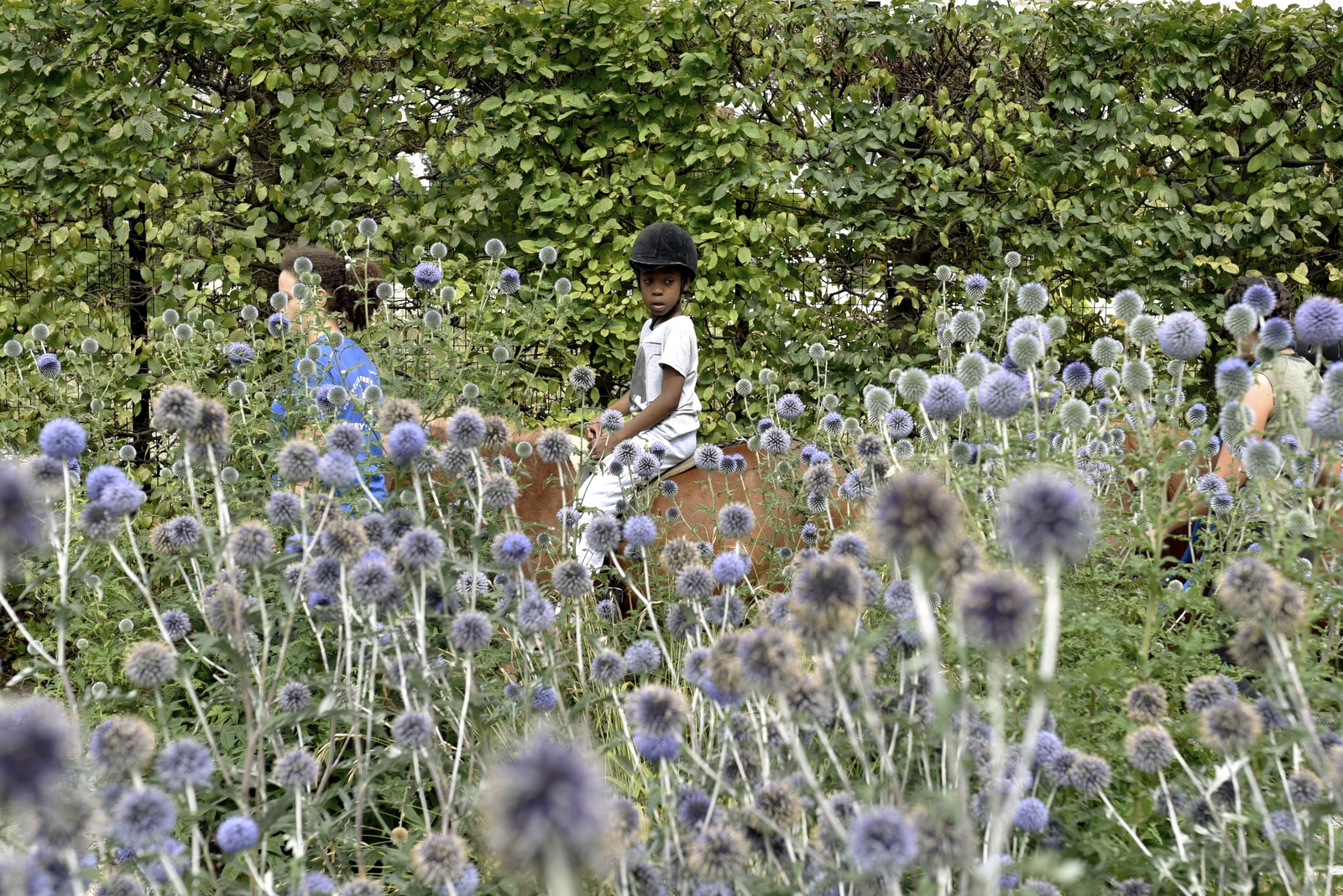 Activités au parc du Coteau - ©SL 2017