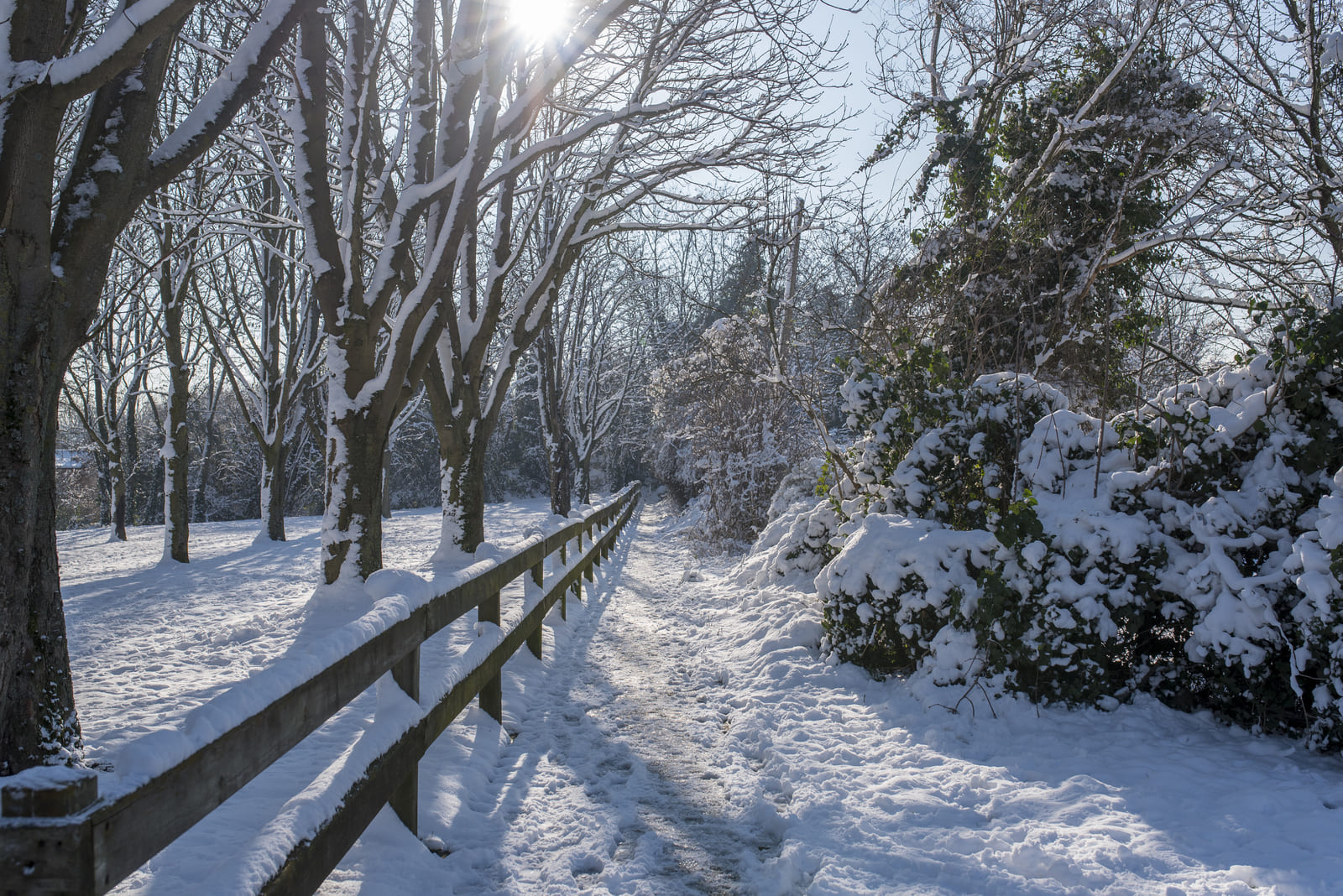 Parc des Lilas - ©SL 2018