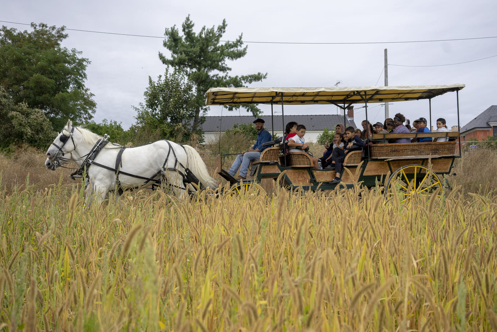 Fête des moissons au parc des Lilas - ©SL 2018