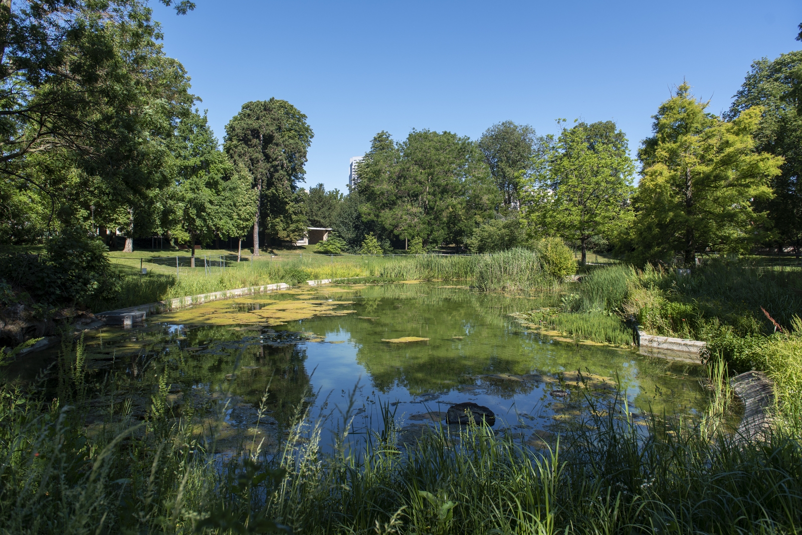 Parc Frédéric-Joliot-Curie - ©SL 2020