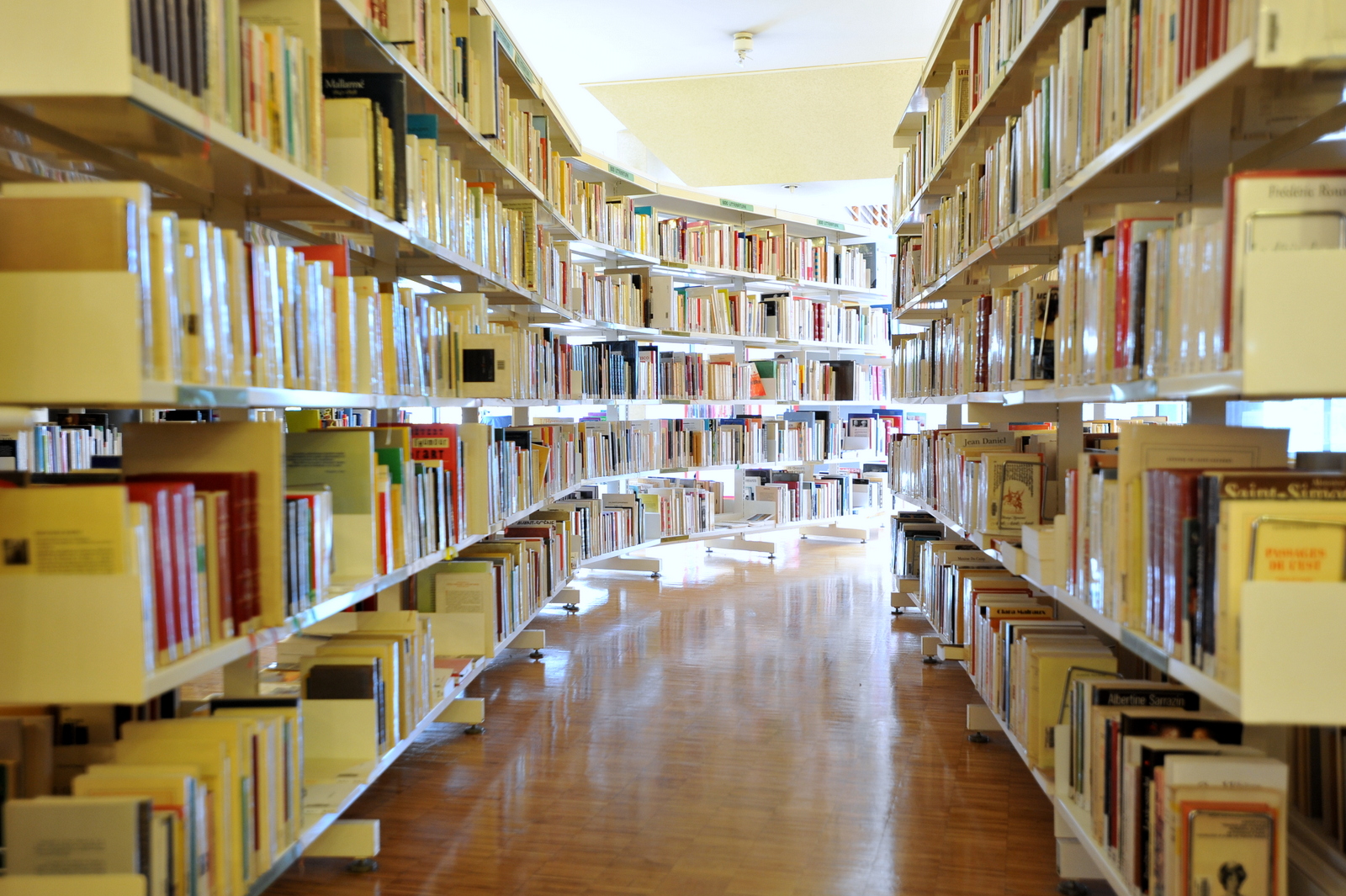 Bibliothèque Nelson Mandela